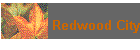 Redwood City