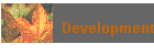 Development